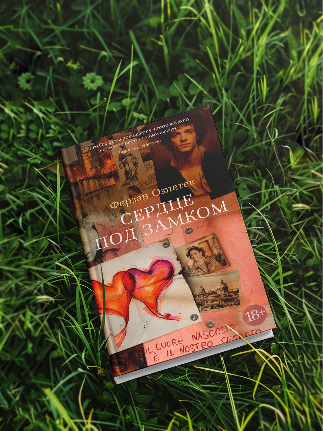 Промо материал к книге "Сердце под замком" №2