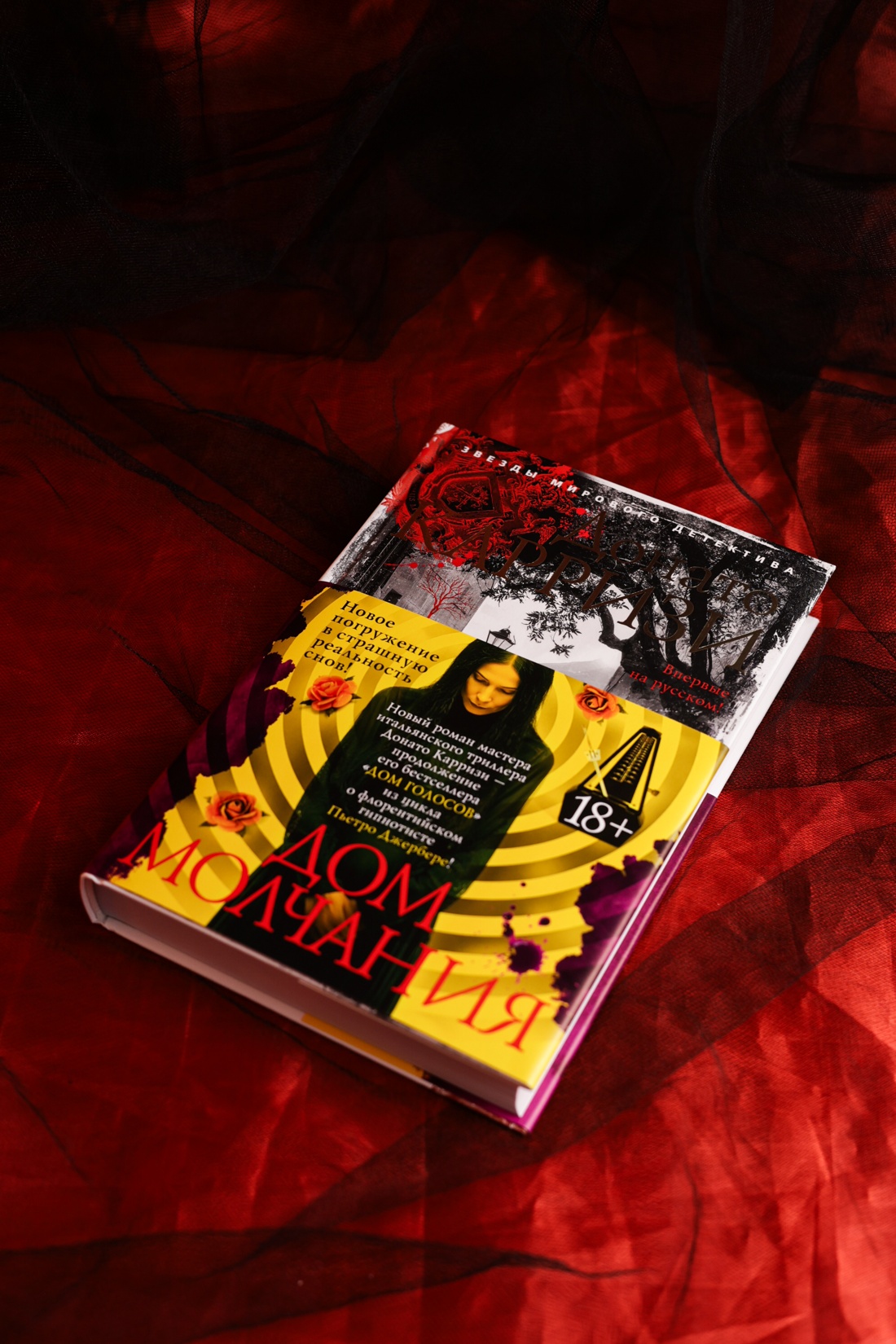 Промо материал к книге "Дом молчания" №12