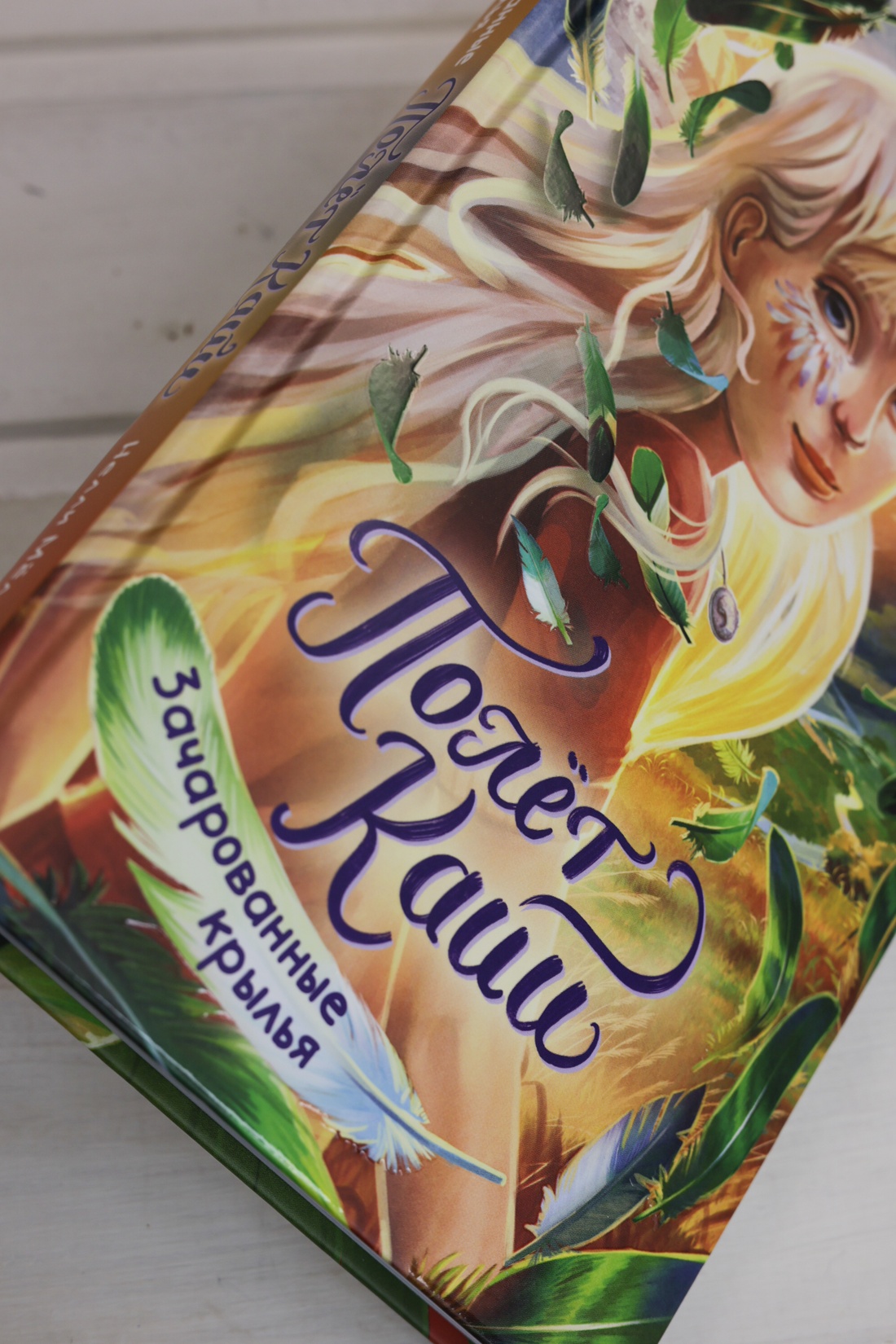 Промо материал к книге "Зачарованные крылья" №6