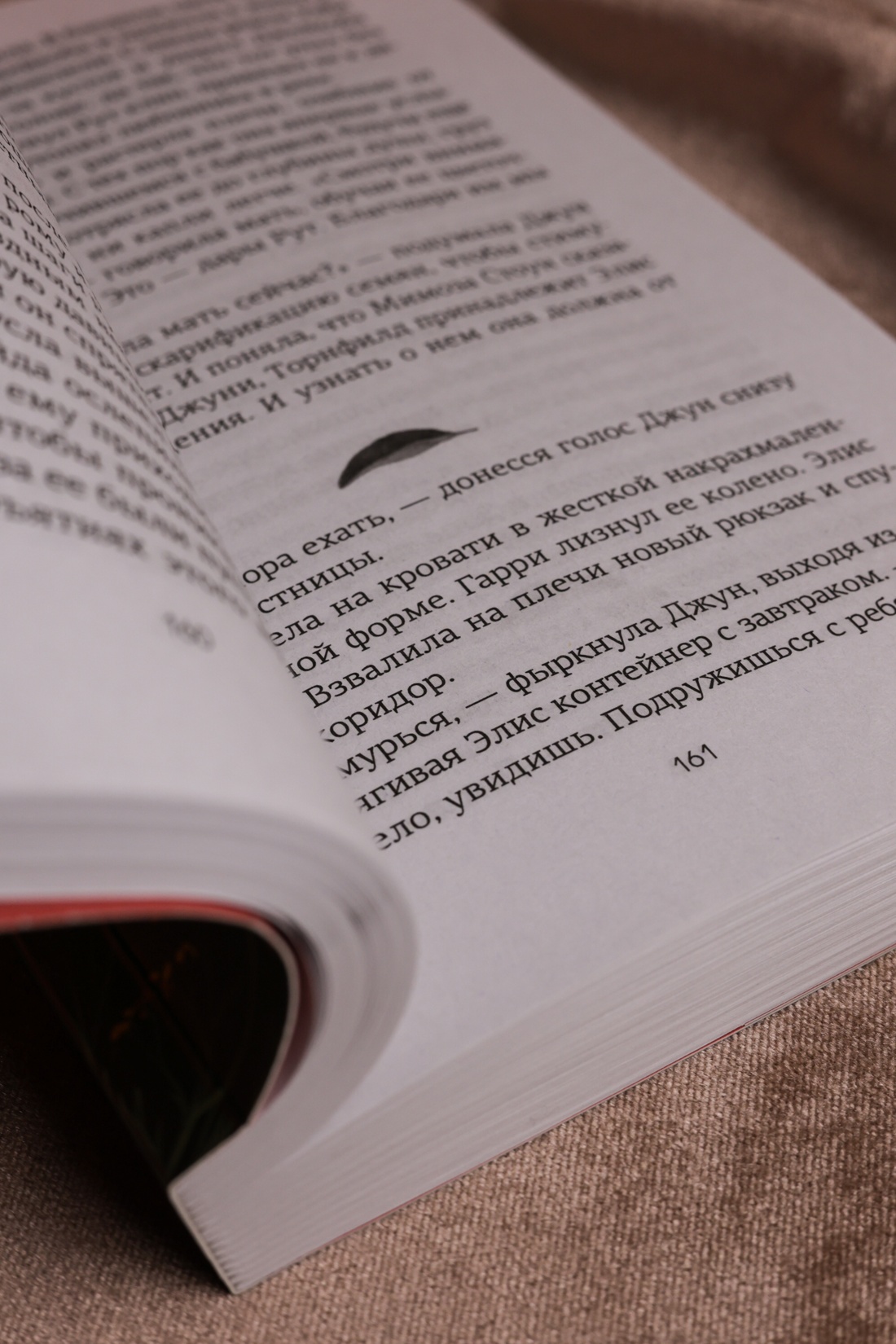 Промо материал к книге "Потерянные цветы Элис Харт" №11