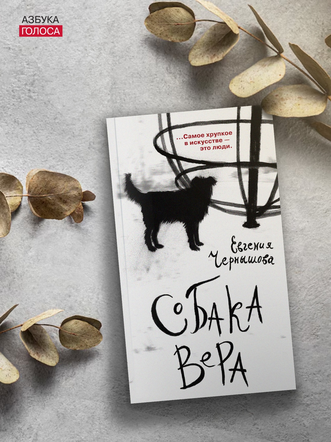 Промо материал к книге "Собака Вера" №2
