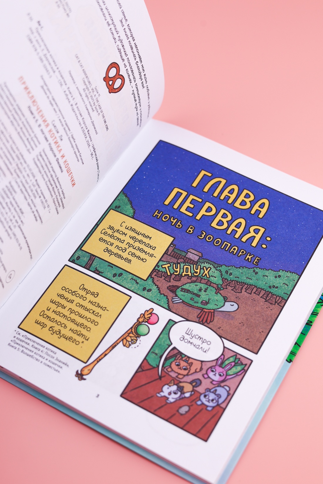 Промо материал к книге "Приключения котика и кошечки. Книга 6. В логове Короля Филина" №7