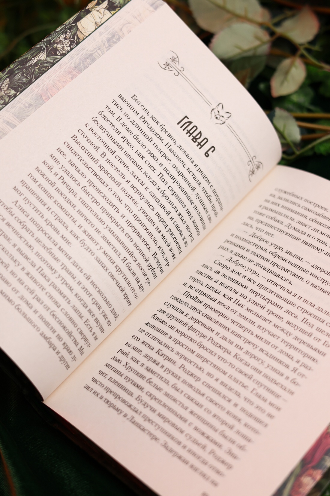 Промо материал к книге "Фамильяры ведьм" №11