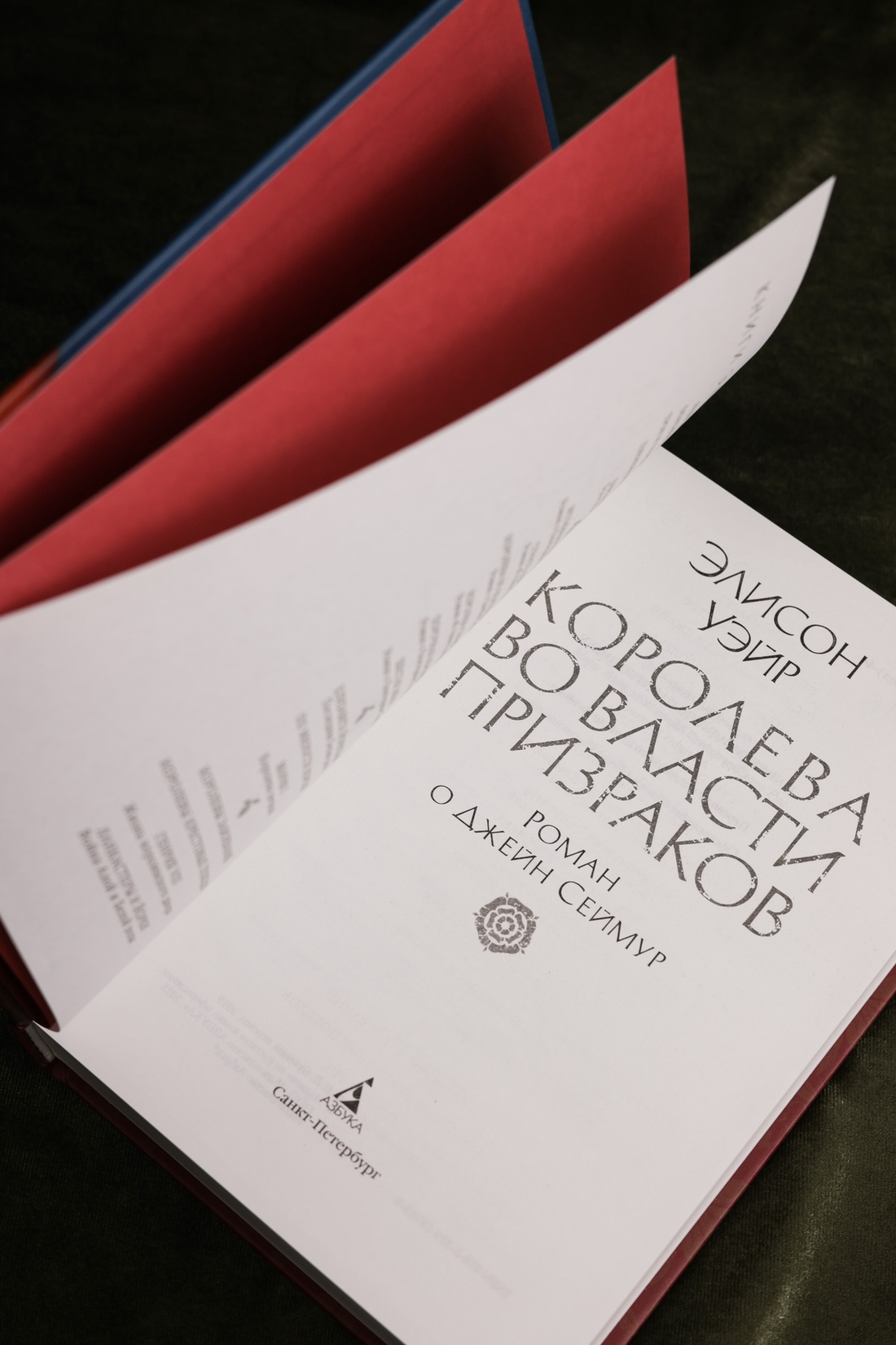 Промо материал к книге "Королева во власти призраков. Роман о Джейн Сеймур" №6