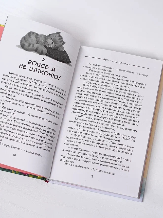 Промо материал к книге "Тайна на каникулах" №10