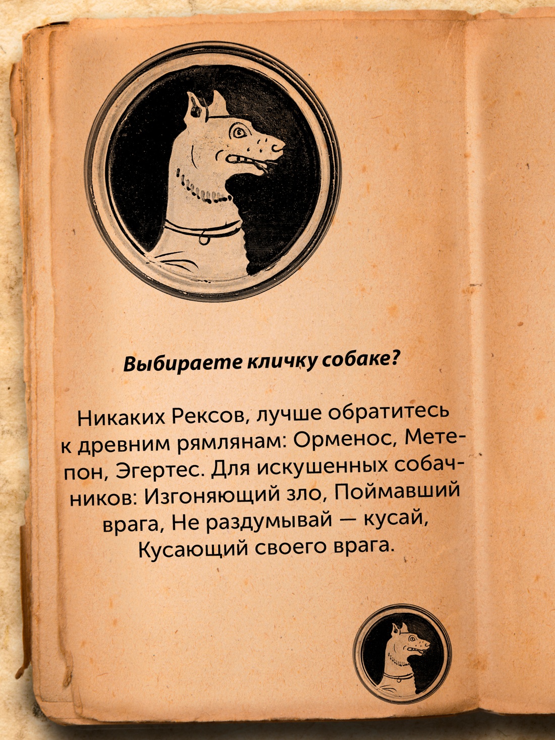 Промо материал к книге "Когти грифона и летающие змеи: Древние мифы, исторические диковинки и научные курьезы" №2