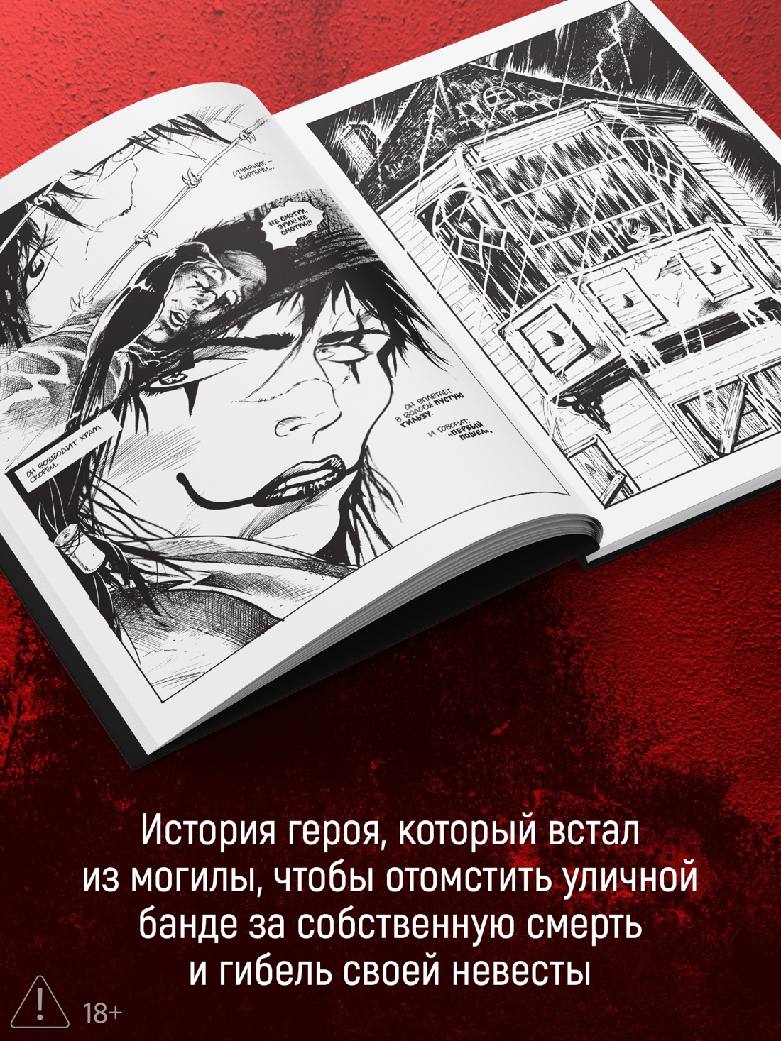 Промо материал к книге "Ворон (илл)" №2