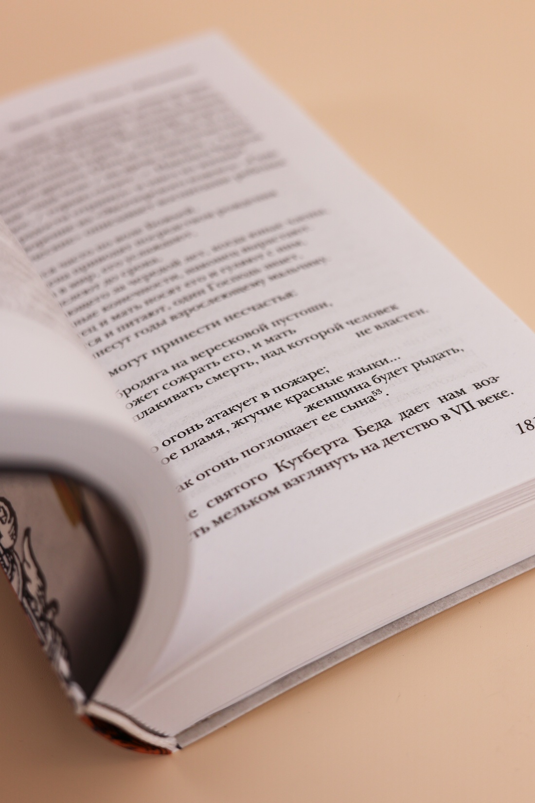 Промо материал к книге "Брак и семья в Средние века" №8