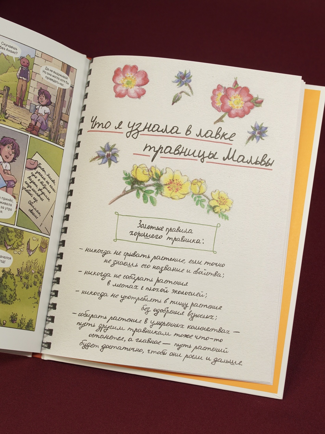 Промо материал к книге "Мальва и Тыквель. Том 1. Случай в лавке травника" №11