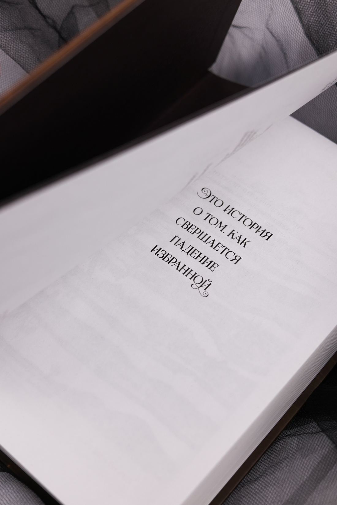 Промо материал к книге "Короны Ниаксии. Певчая птица и каменное сердце. Книга первая из дилогии о тенерожденных" №9