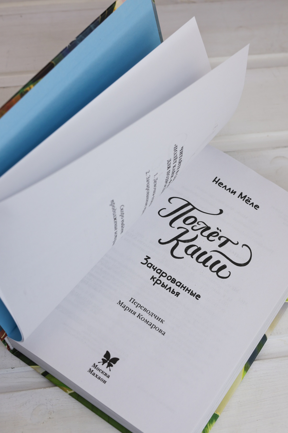 Промо материал к книге "Зачарованные крылья" №7