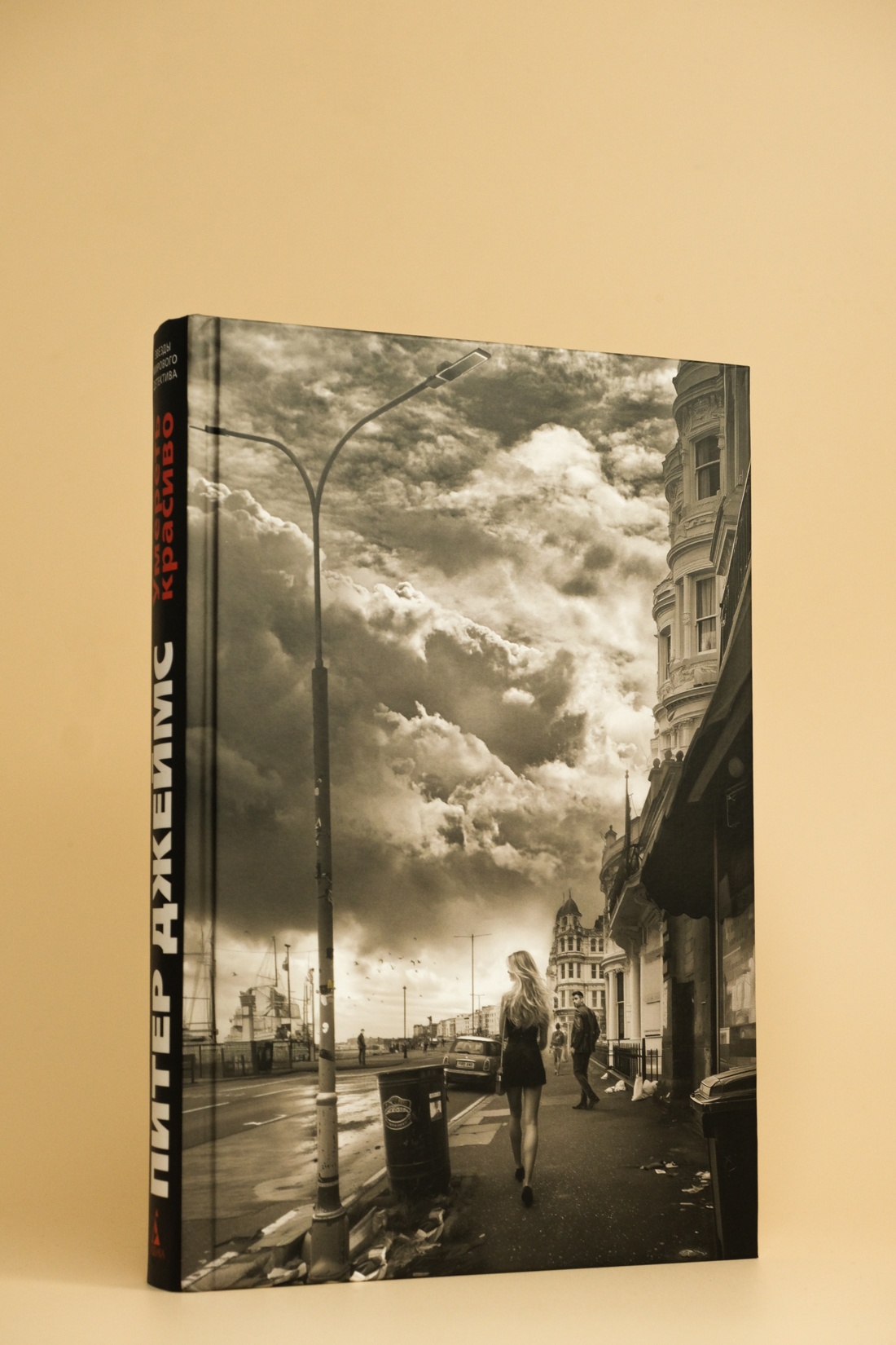 Промо материал к книге "Умереть красиво" №5