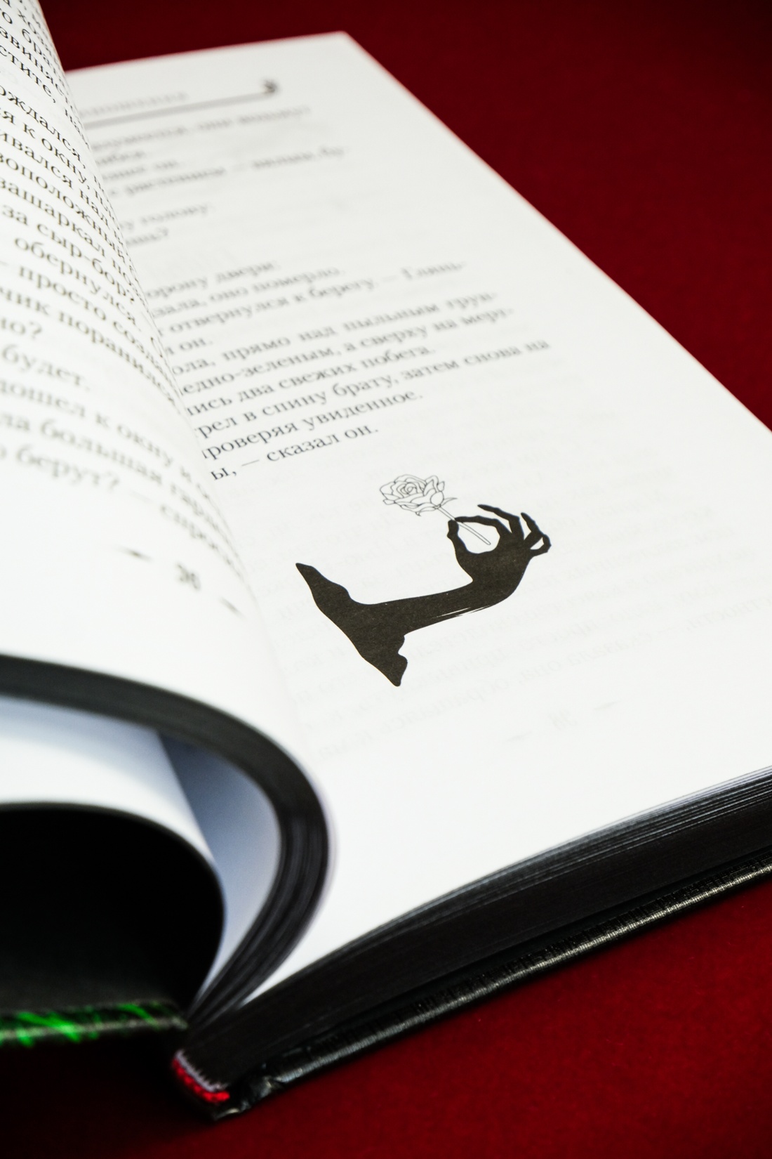 Промо материал к книге "Сожженные приношения" №10