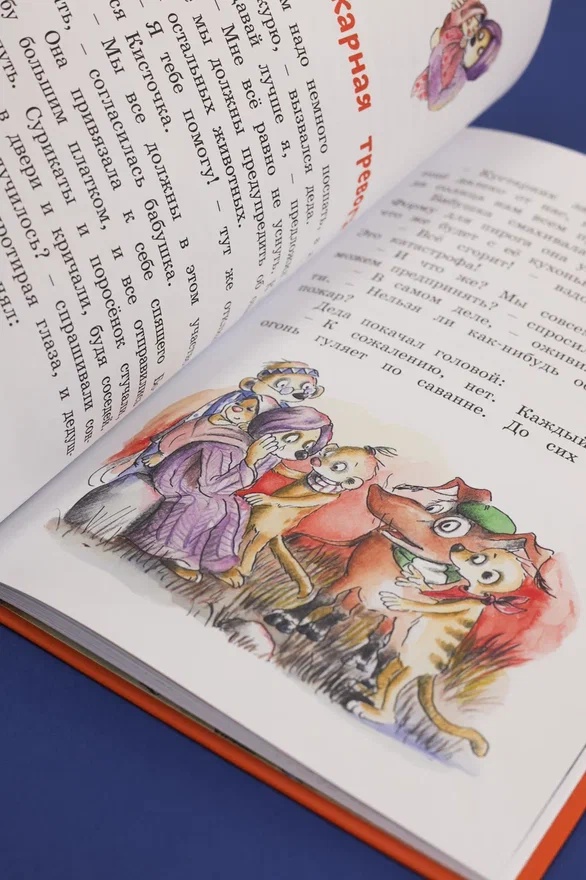 Промо материал к книге "Тафити и великий пожар" №8