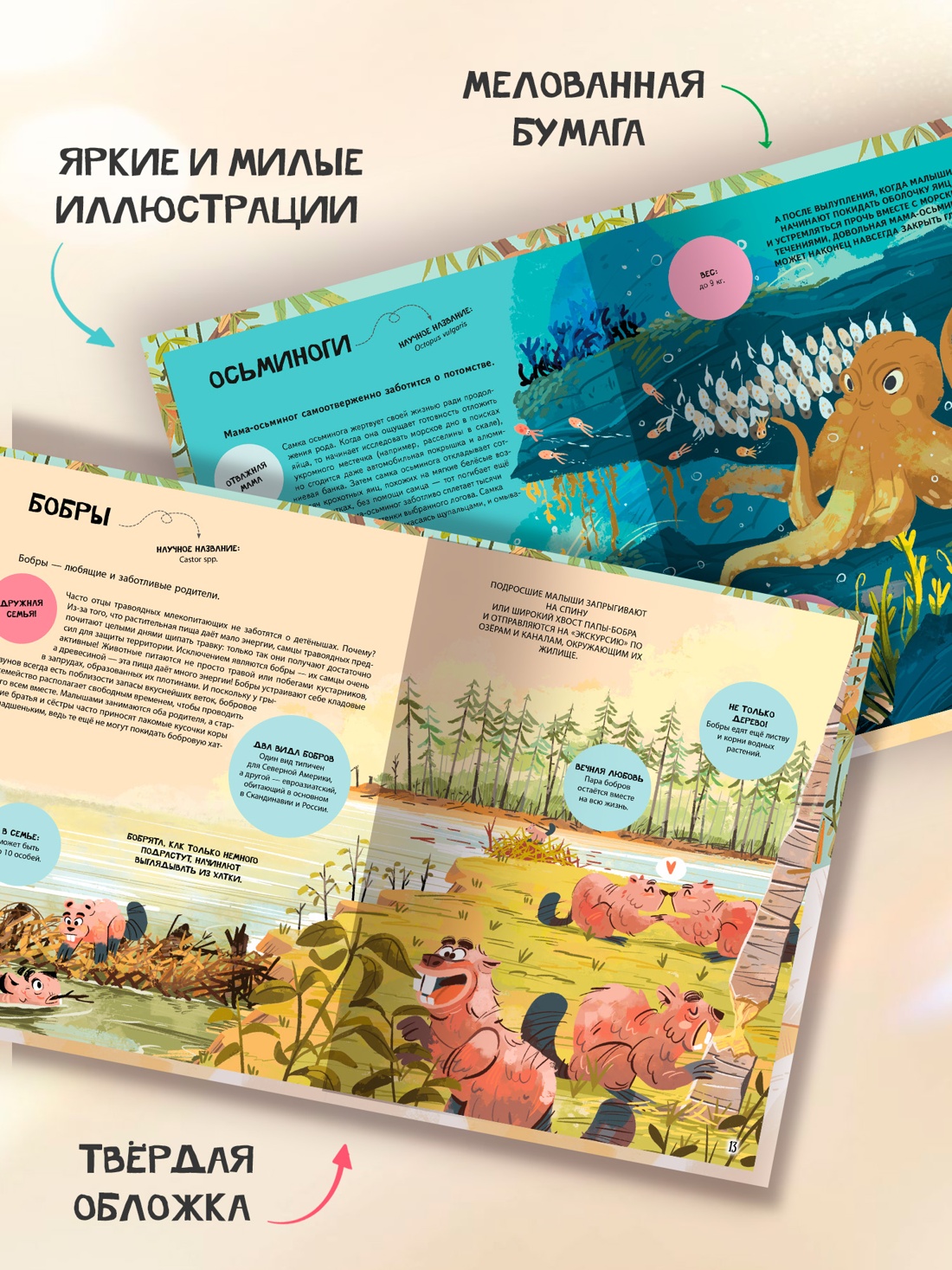 Промо материал к книге "Семья в мире животных. Любовь, забота и воспитание в дикой природе" №2