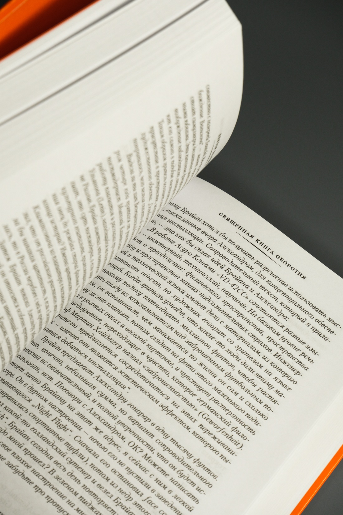 Промо материал к книге "Числа. Священная книга оборотня. T" №9