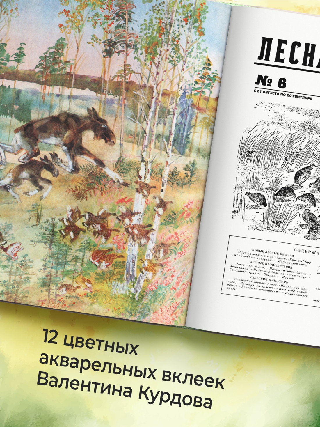 Промо материал к книге "Лесная газета" №3