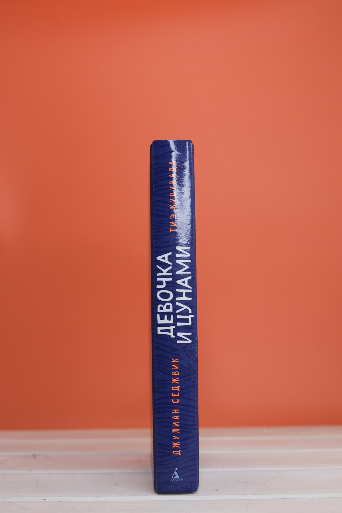 Промо материал к книге "Девочка и цунами" №6