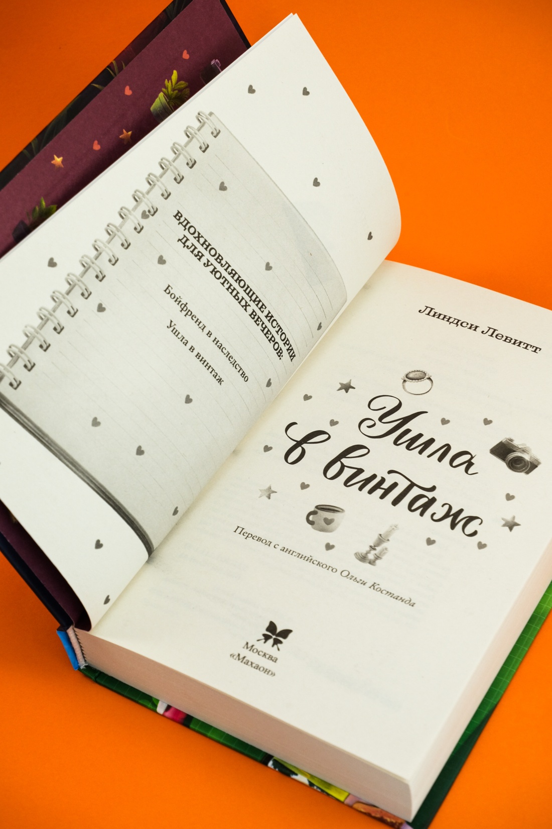Промо материал к книге "Ушла в винтаж" №4