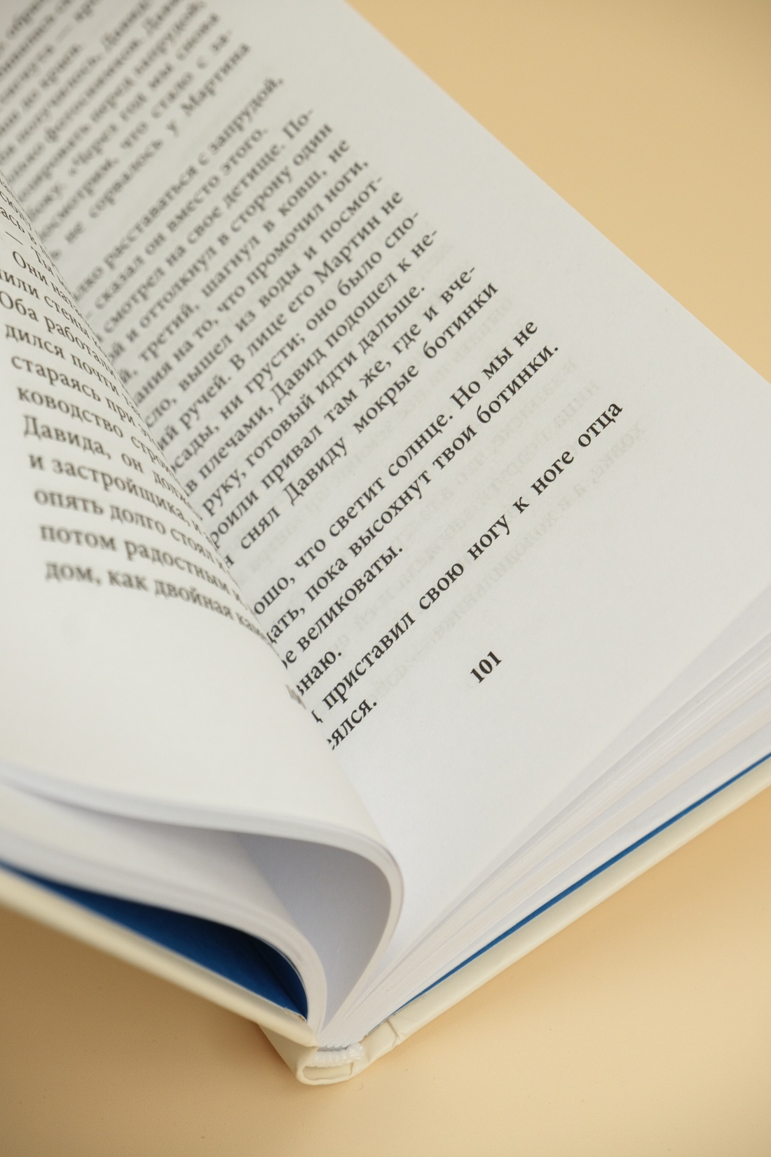 Промо материал к книге "Поздняя жизнь" №13