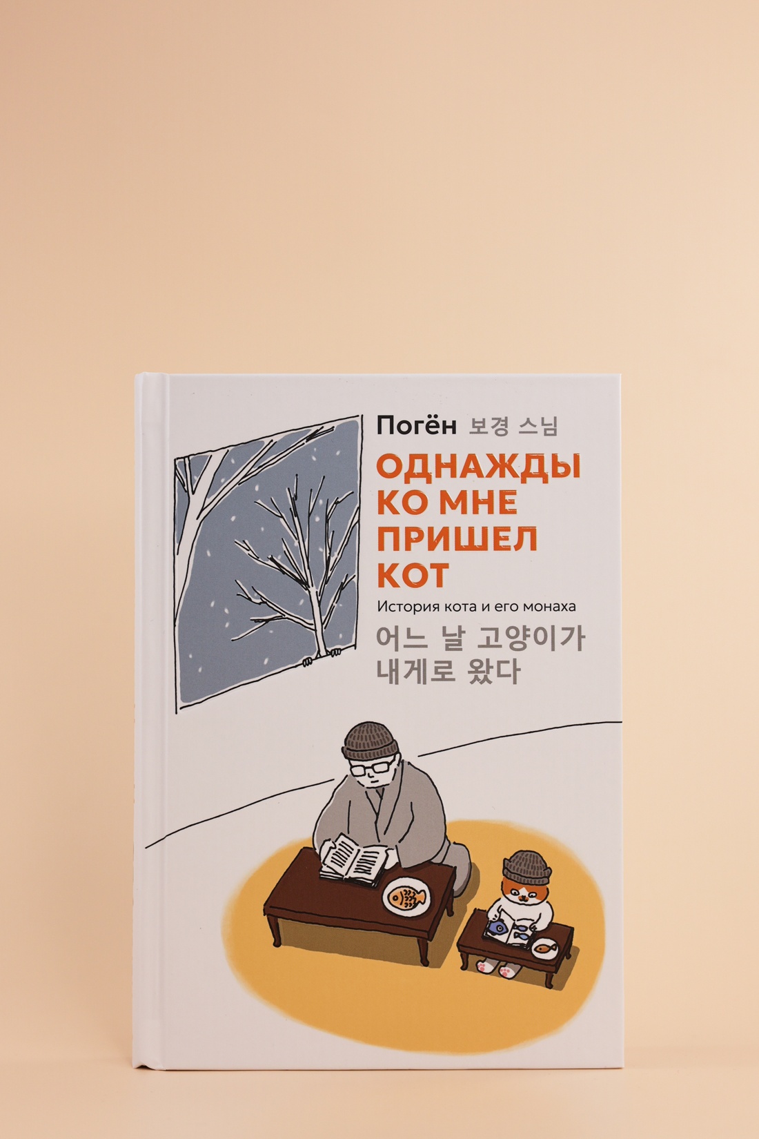 Промо материал к книге "Однажды ко мне пришел кот" №5