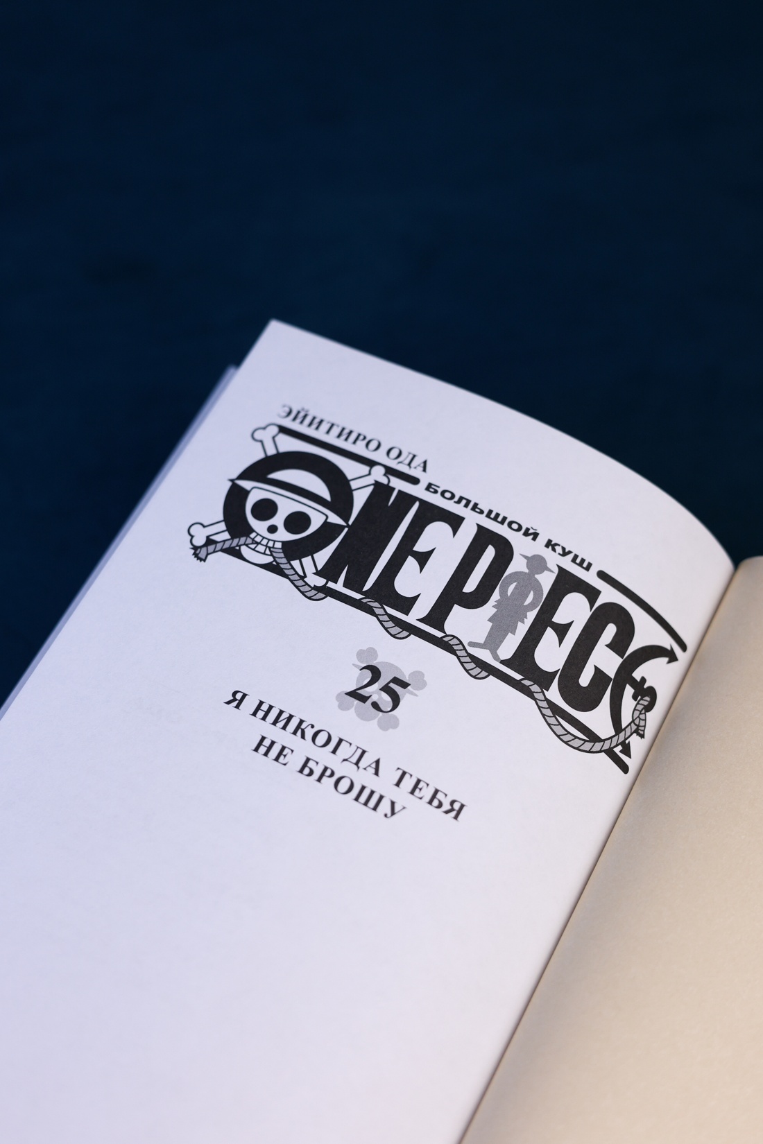 Промо материал к книге "One Piece. Большой куш. Книга 25. Я никогда тебя не брошу" №6