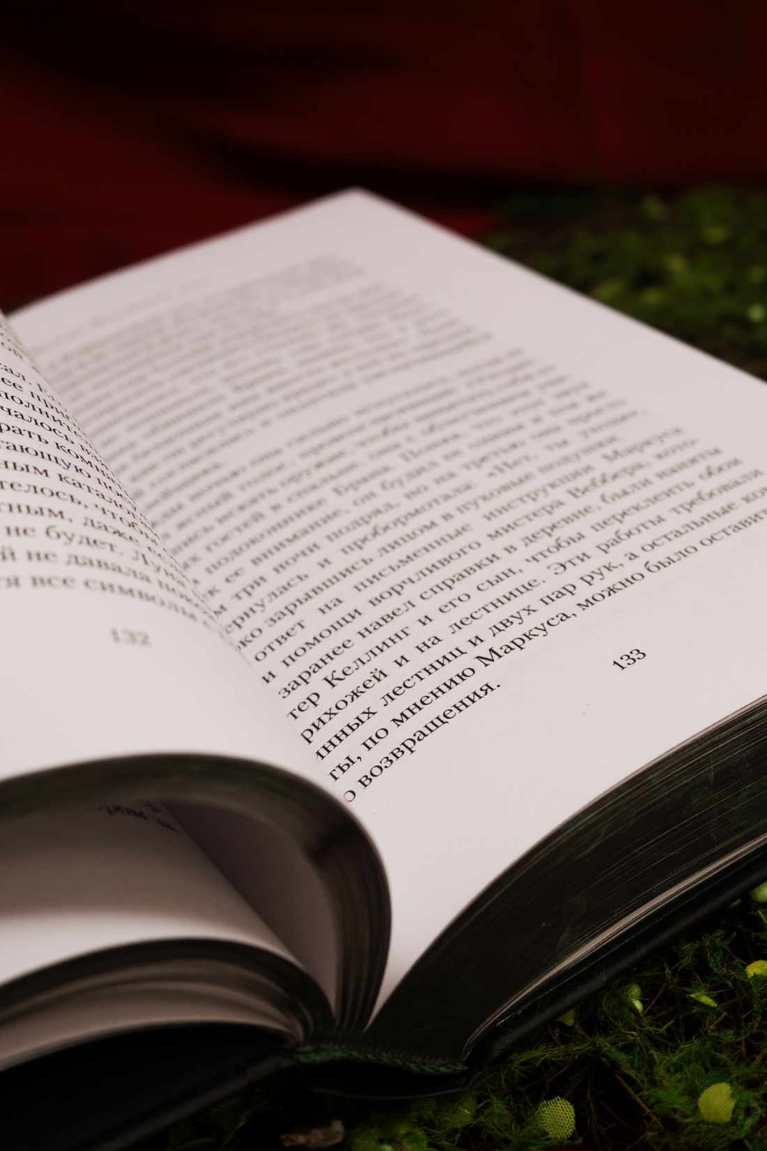 Промо материал к книге "Ведьма Вороньего леса" №11