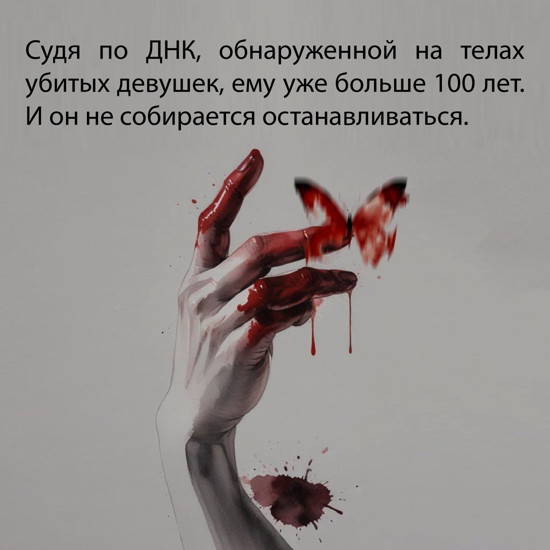 Промо материал к книге "Постоянство хищника" №5