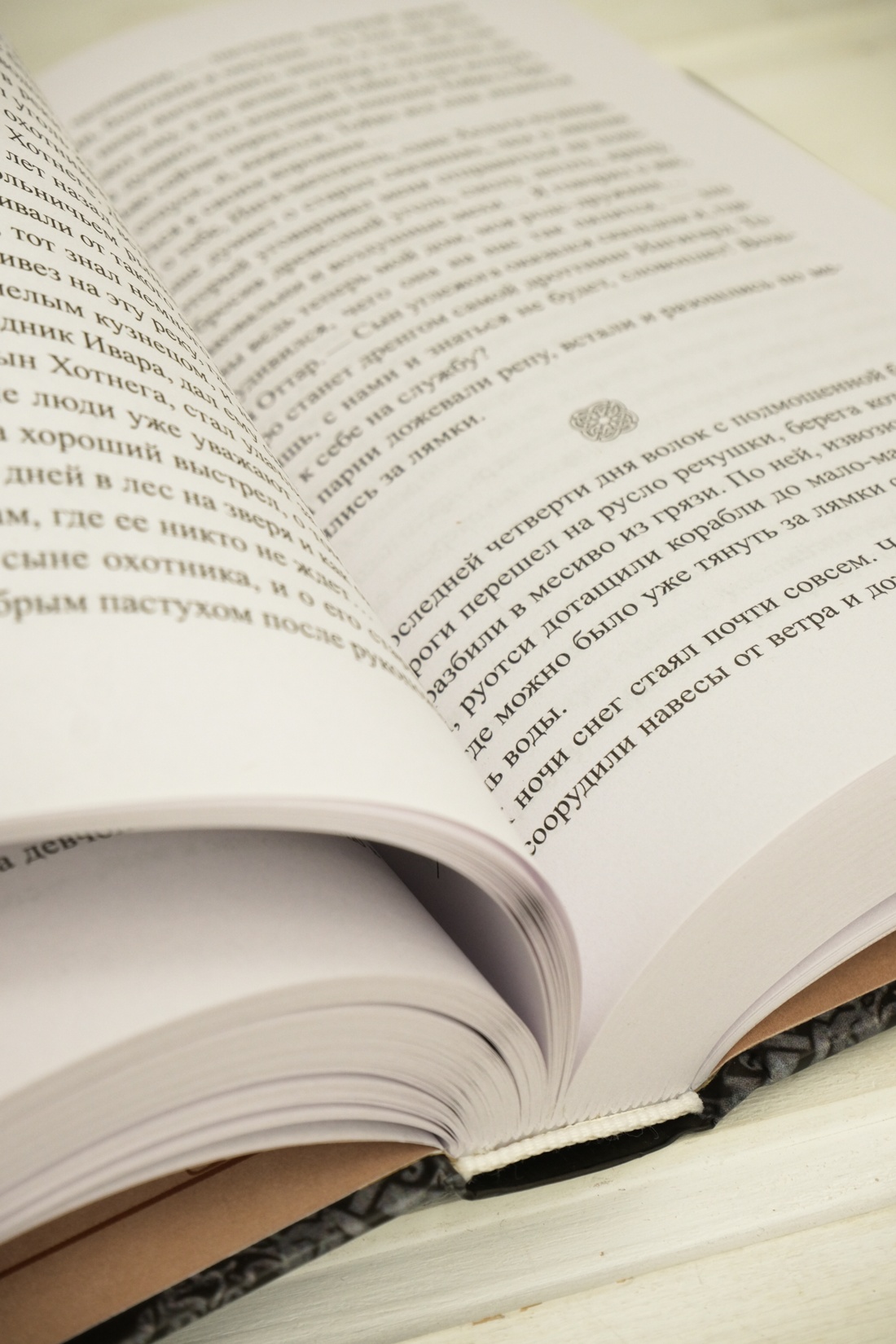 Промо материал к книге "Руны земли" №10