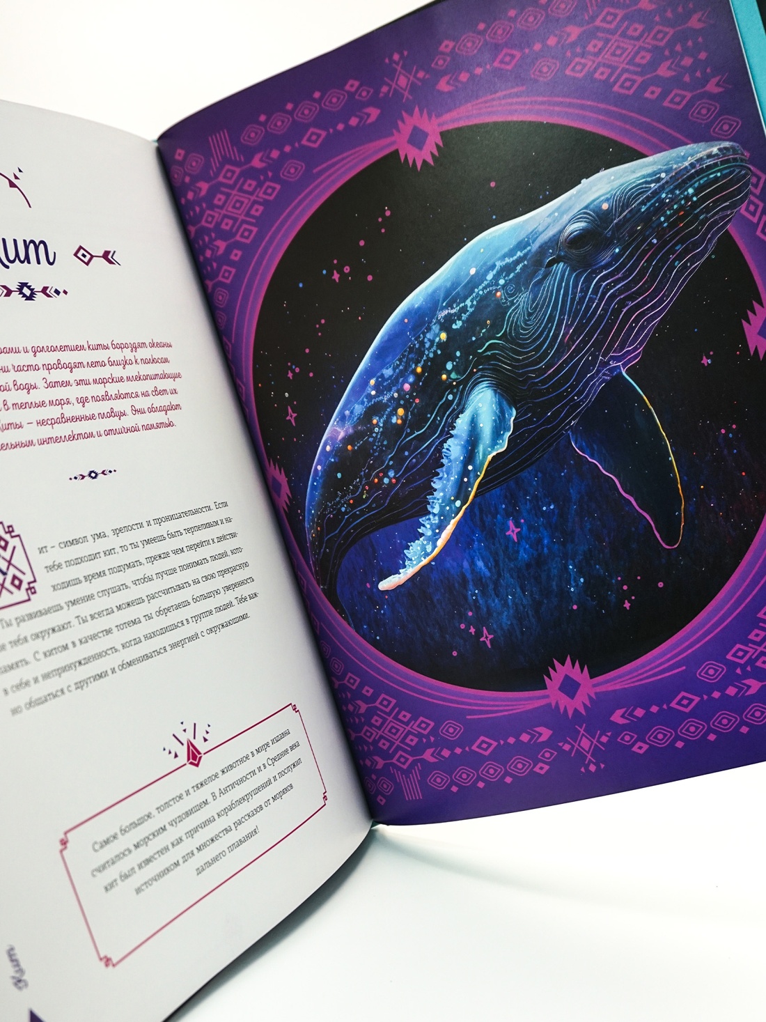 Промо материал к книге "Тотемные животные" №3