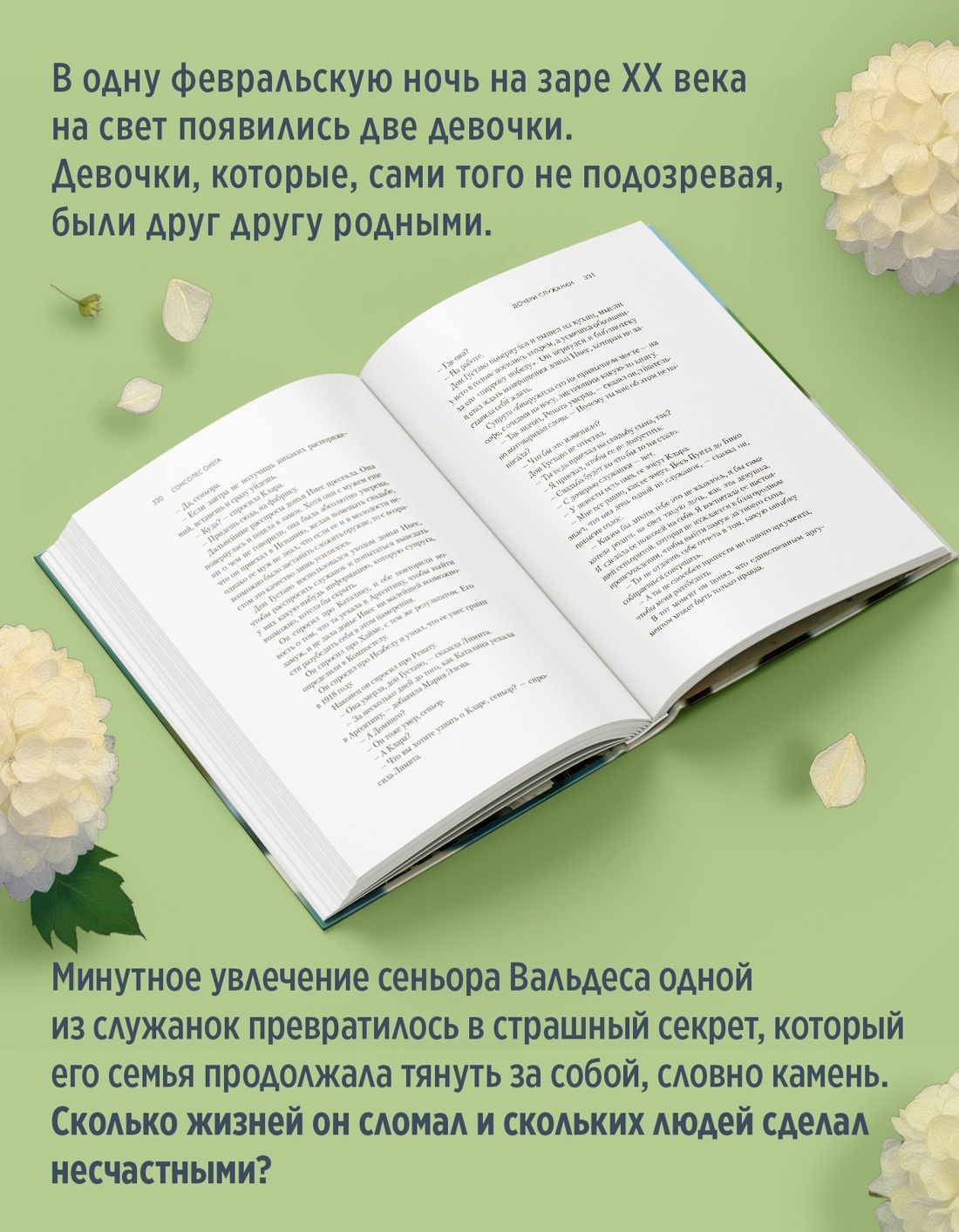 Промо материал к книге "Дочери служанки" №2