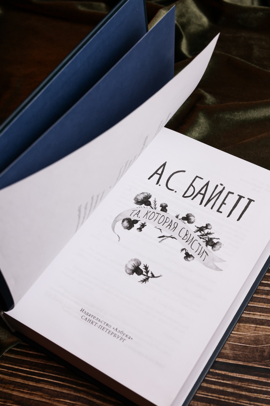 Промо материал к книге "Та, которая свистит" №13