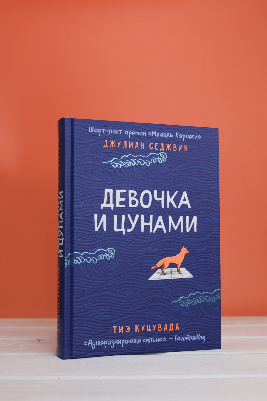 Промо материал к книге "Девочка и цунами" №5