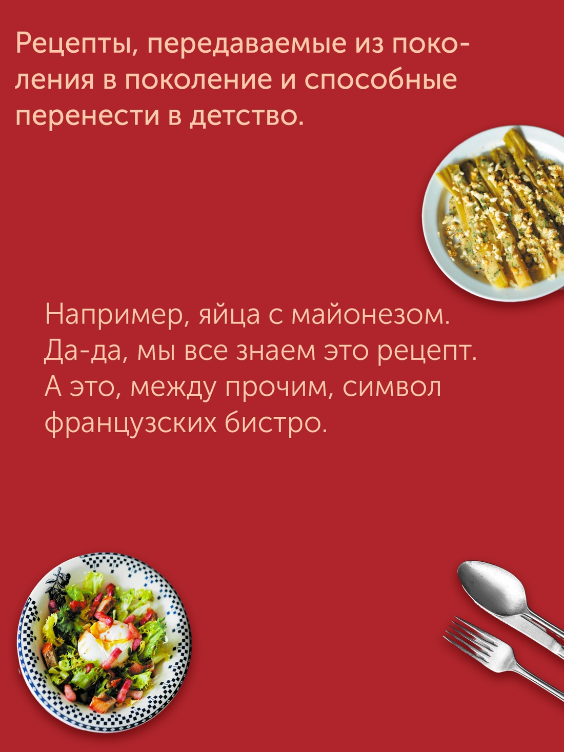 Промо материал к книге "Блюда от шефа. Повседневная кухня с душой" №2