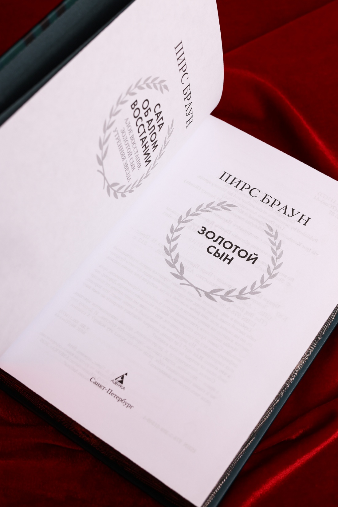 Промо материал к книге "Золотой Сын (The Big Book)" №7