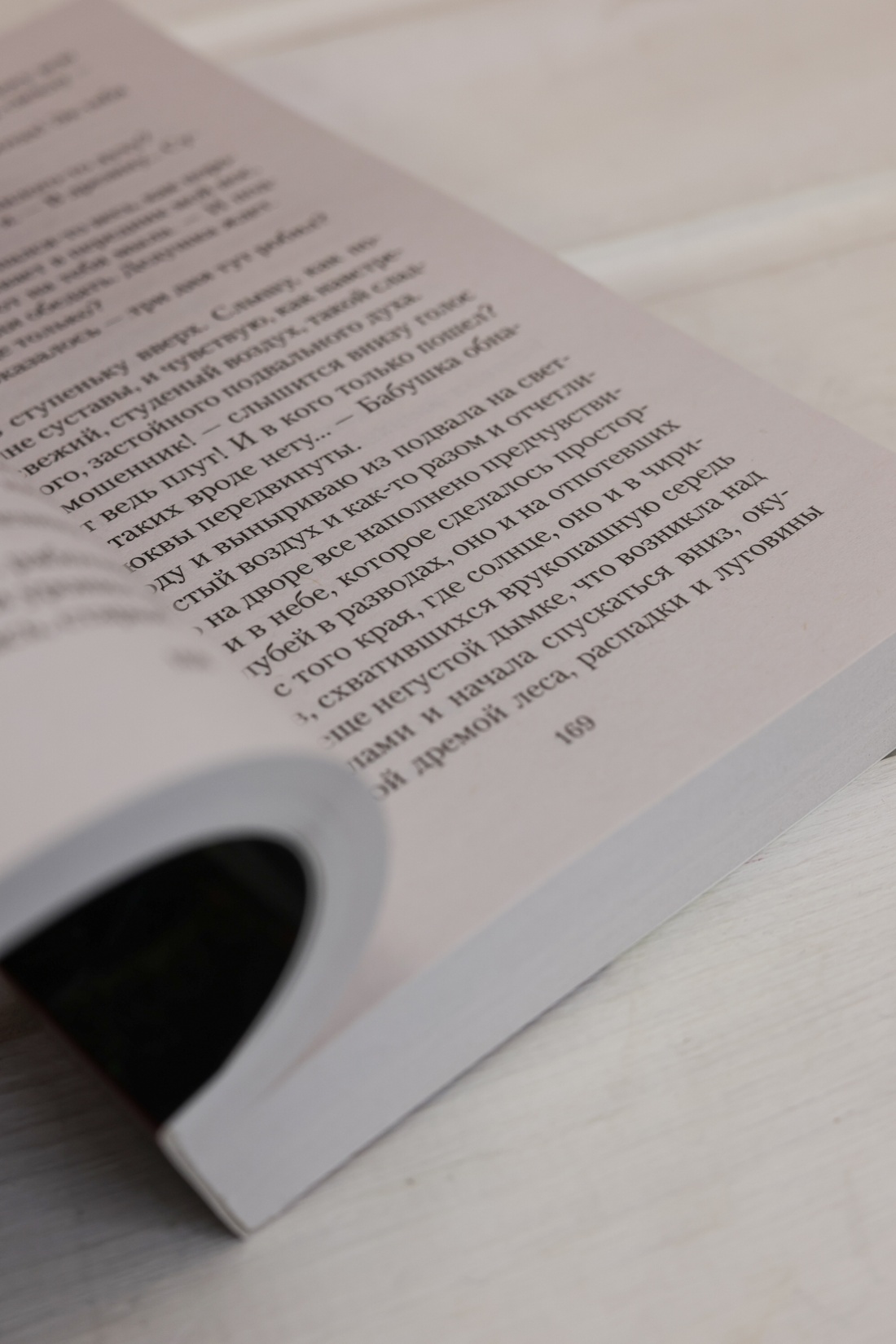 Промо материал к книге "Васюткино озеро" №8