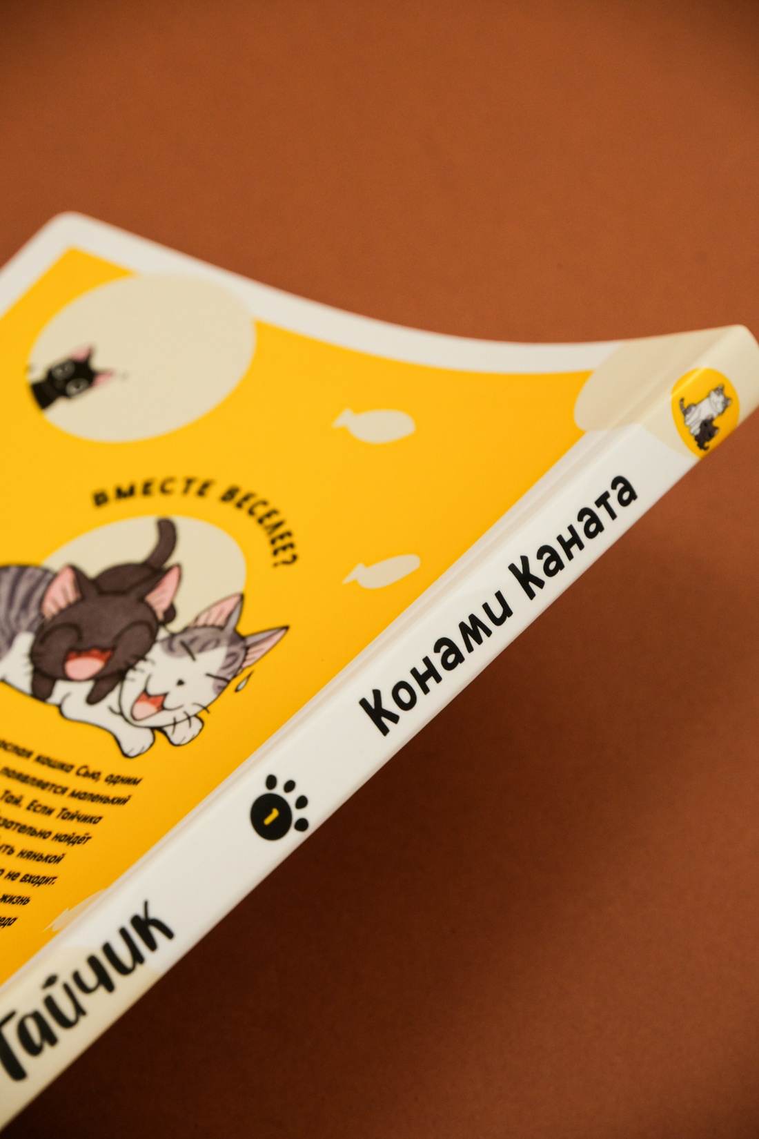 Промо материал к книге "Сью и Тайчик. Книга 1" №10