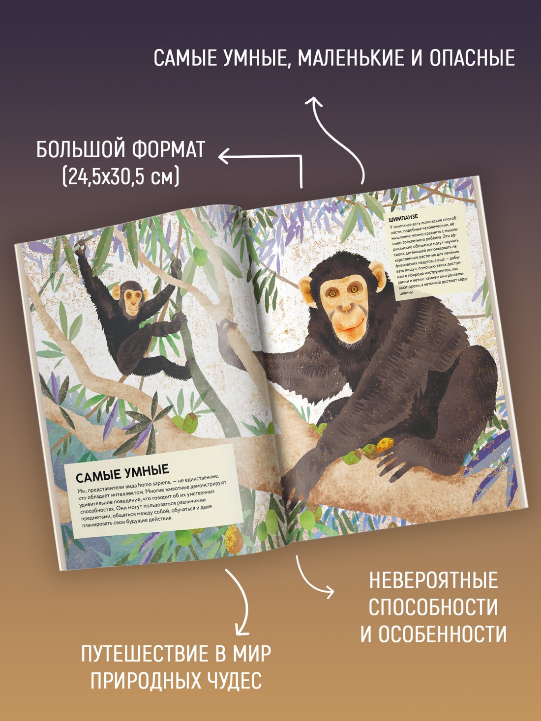 Промо материал к книге "Удивительные животные. Самые-самые" №1