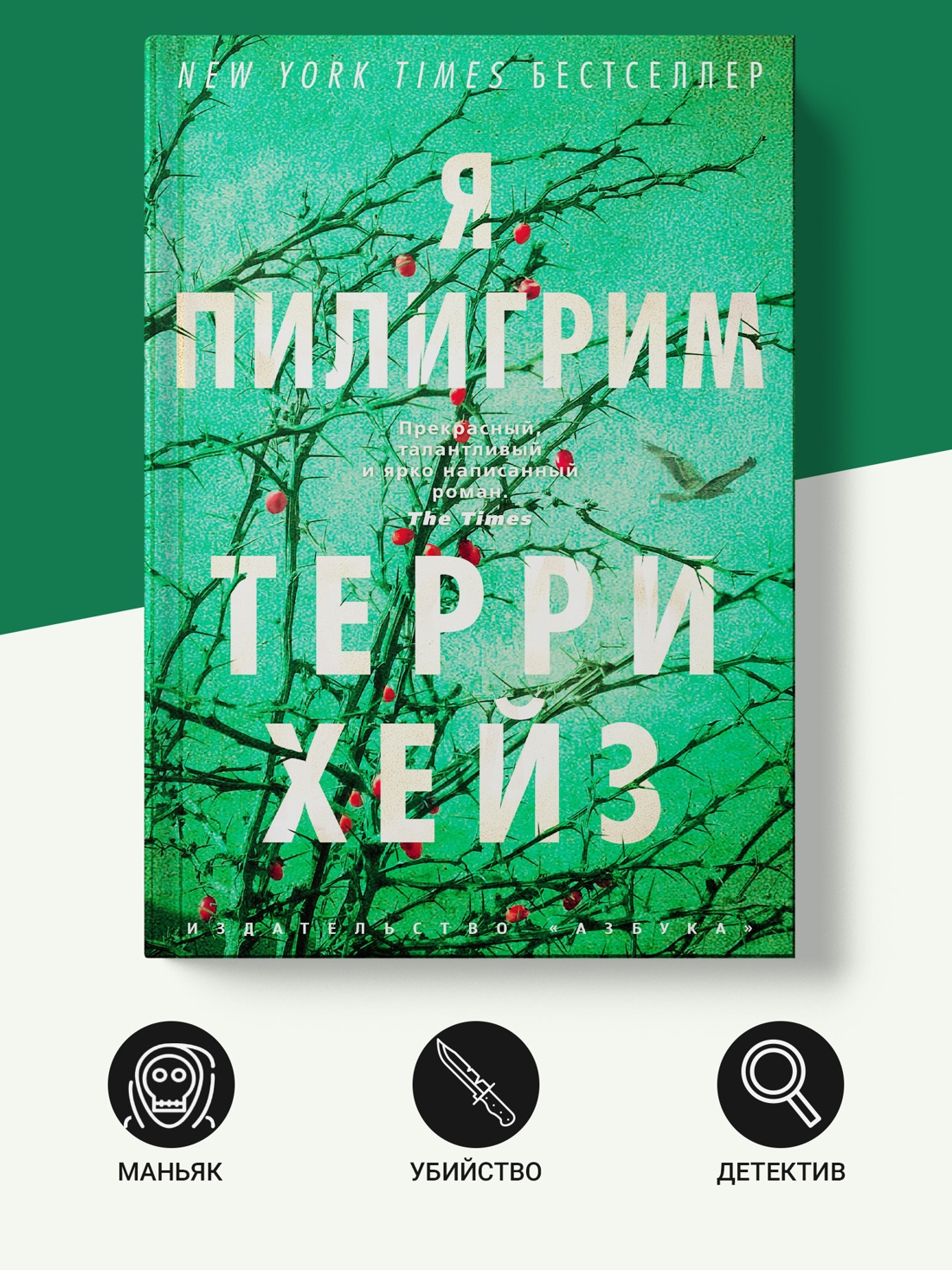 Промо материал к книге "Я Пилигрим (The Big Book)" №1