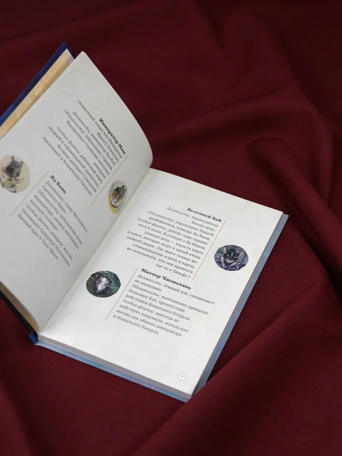Промо материал к книге "Заговор на празднике фонарей" №6
