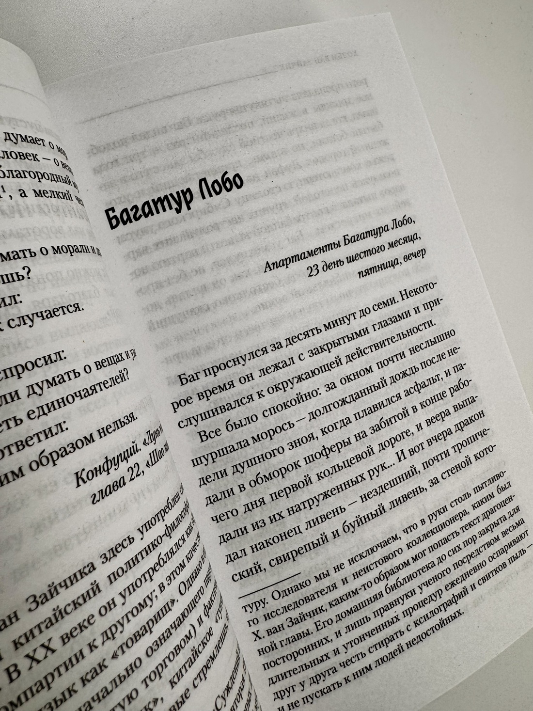 Промо материал к книге "Дело жадного варвара" №11