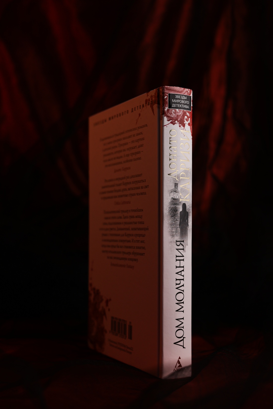 Промо материал к книге "Дом молчания" №8