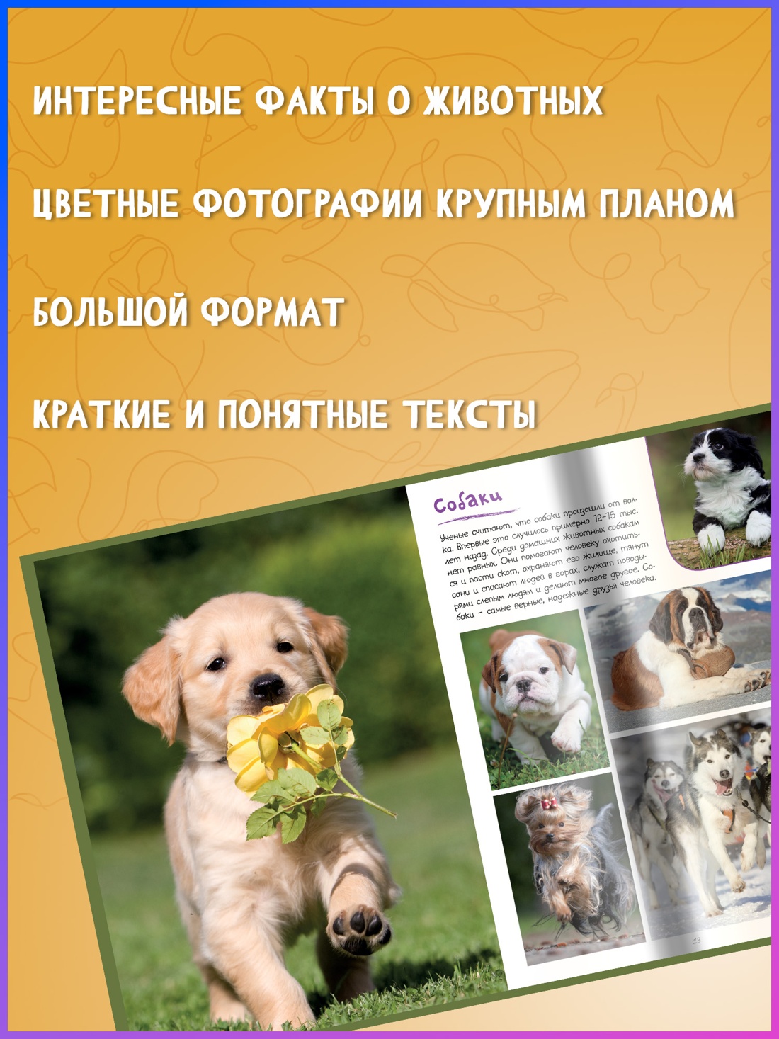 Промо материал к книге "Моя большая книга о животных" №1