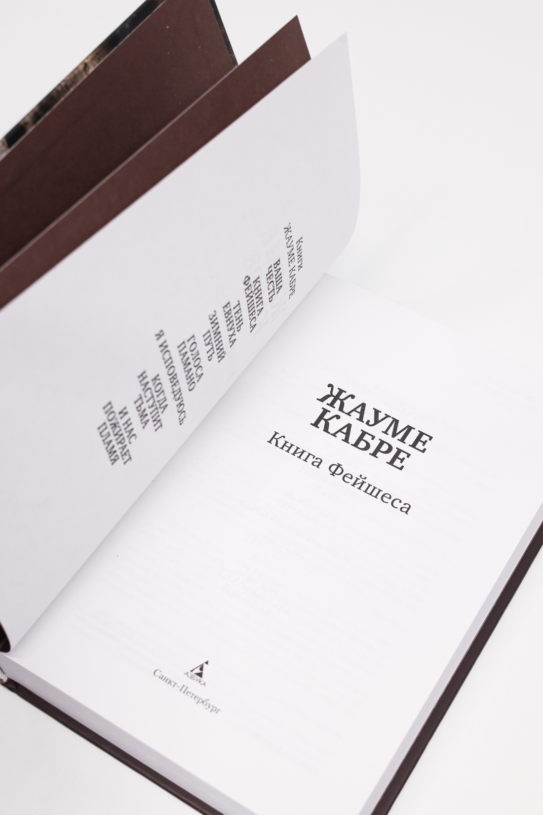 Промо материал к книге "Книга Фейшеса" №7