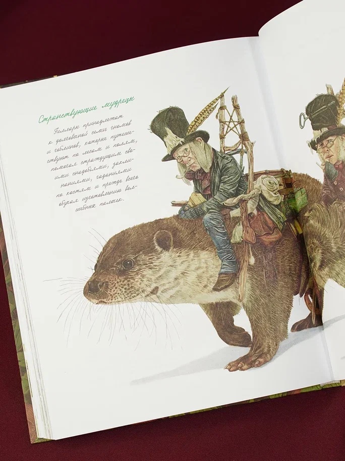 Промо материал к книге "Гримуар фей. Волшебная книга растений и магических рецептов" №9