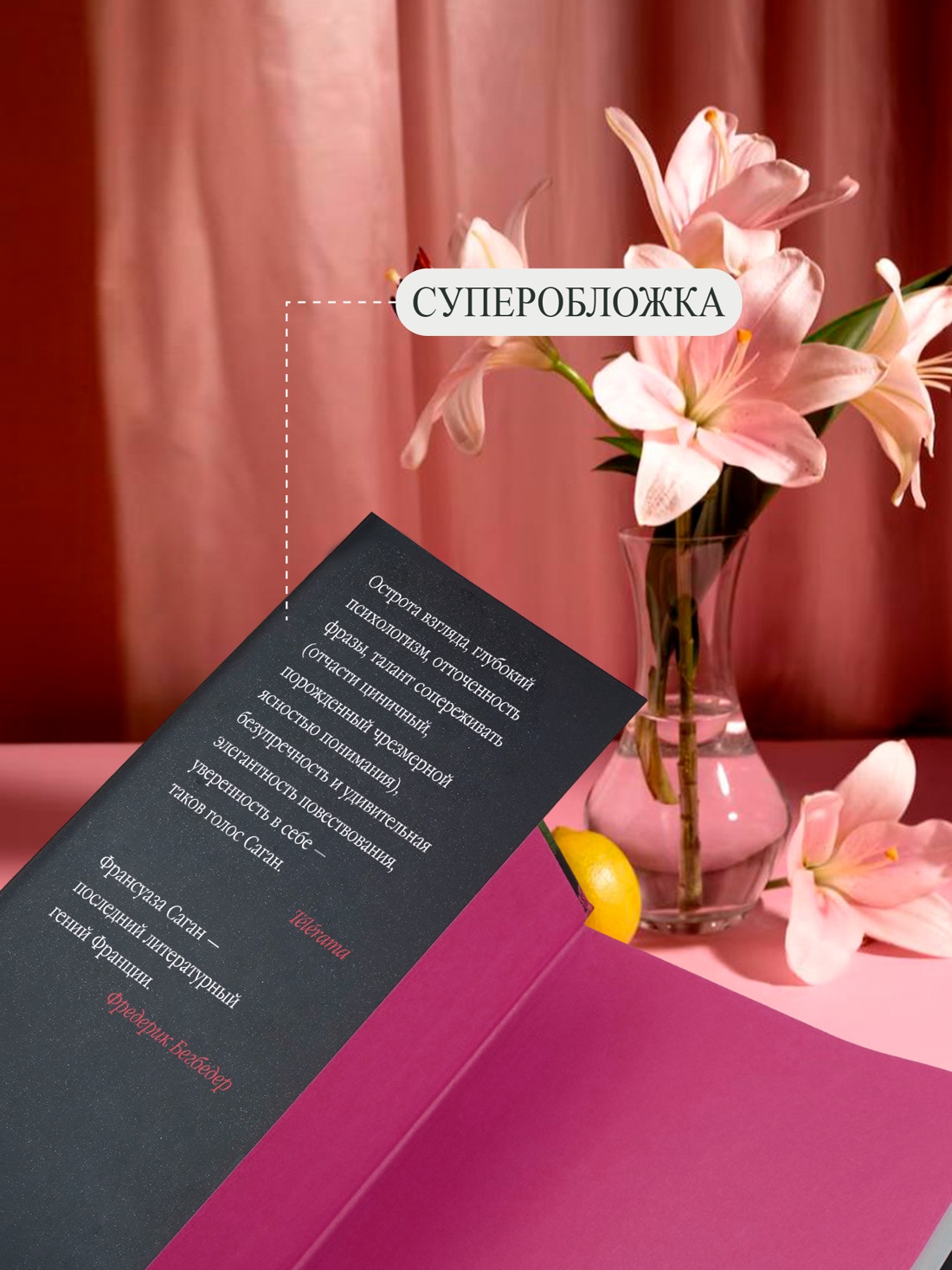 Промо материал к книге "Смутная улыбка. Сигнал капитуляции" №2