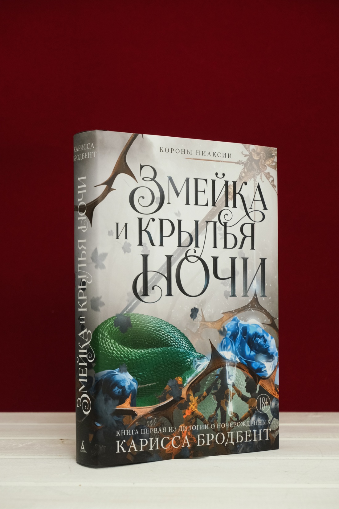 Промо материал к книге "Короны Ниаксии. Змейка и крылья ночи. Книга первая из дилогии о ночерожденных" №7