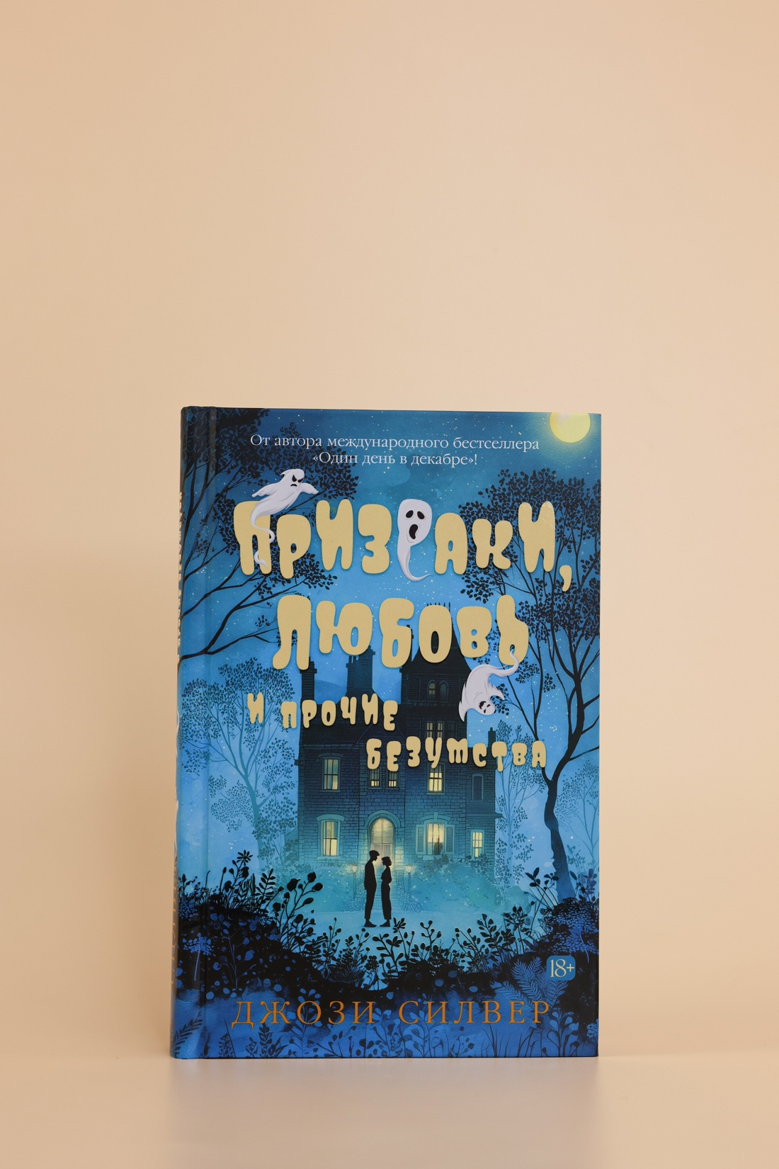 Промо материал к книге "Призраки, любовь и прочие безумства" №5