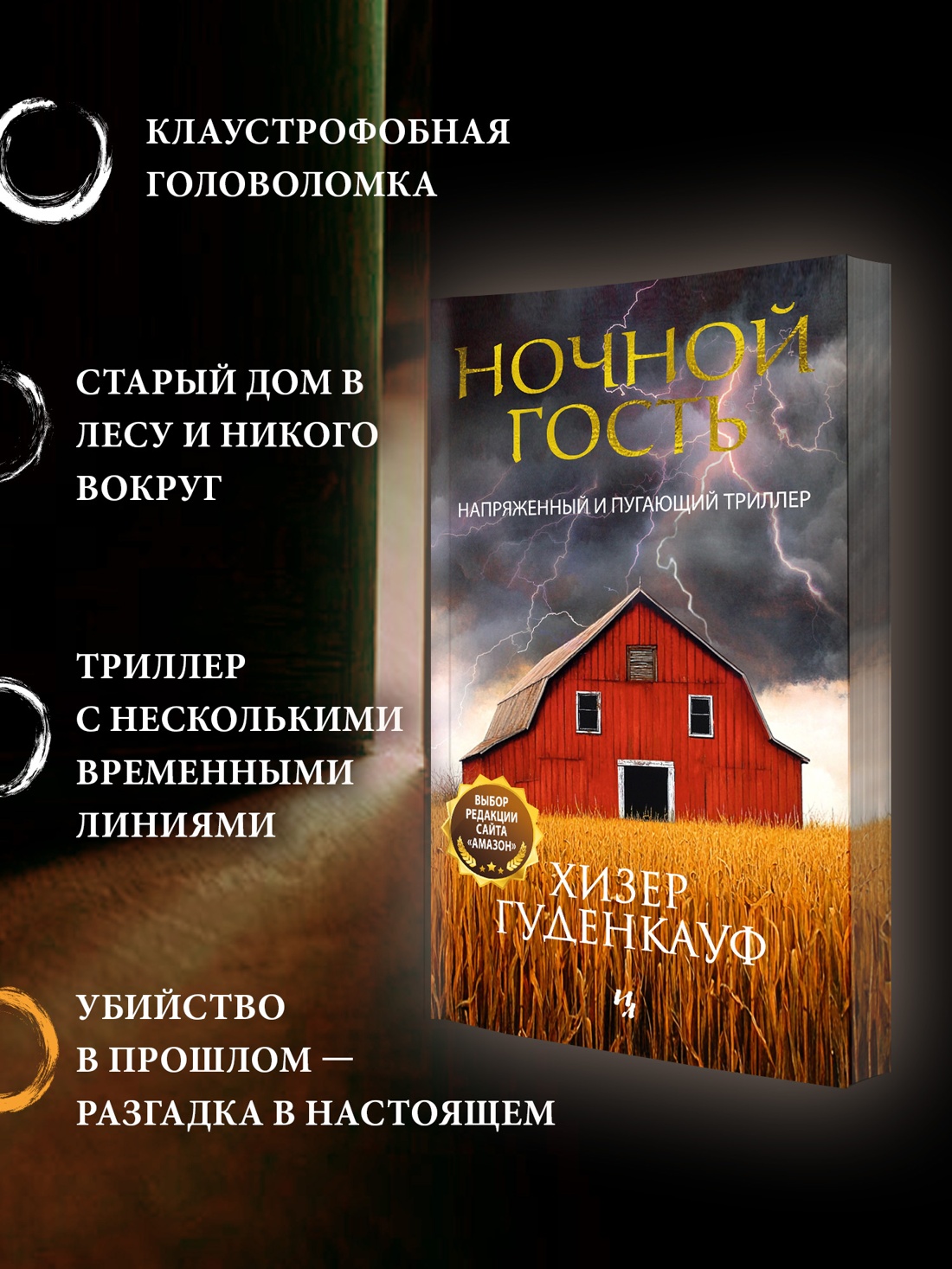 Промо материал к книге "Ночной гость" №1