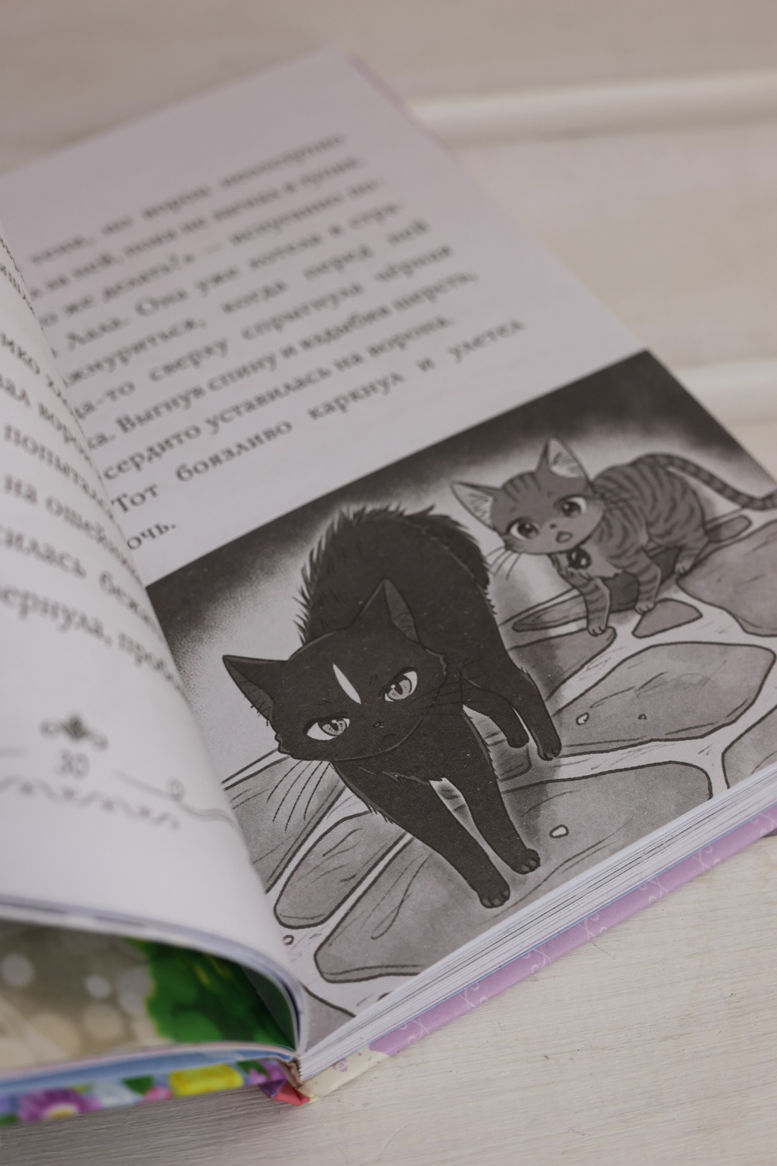 Промо материал к книге "Модные лапки" №11